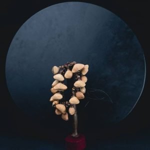 Tadpole Rattle