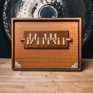 Shruti Box L1